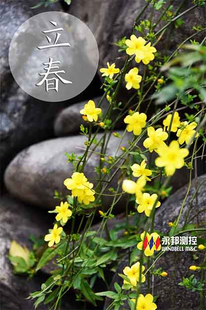 加油站油罐液位仪